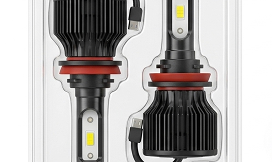 STERUG Bulbs Display